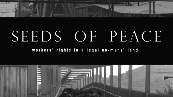 Seeds of Peace